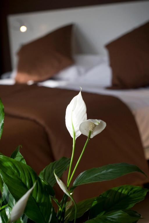 Campdevánol Hotel La Sequia Molinar מראה חיצוני תמונה